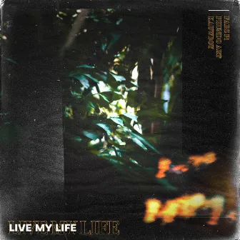 LiVE MY LiFE by Fabz Pi