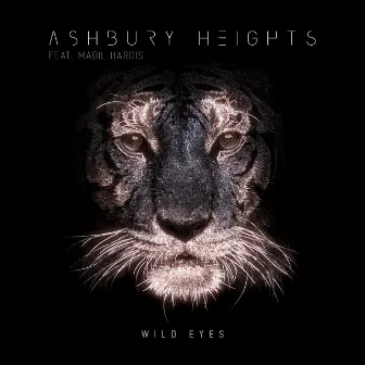 Wild Eyes by Ashbury Heights