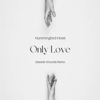 Only Love (Seaside Wounds Remix) by Hummingbird Hotel