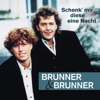 Schenk' mir diese eine Nacht by Brunner & Brunner