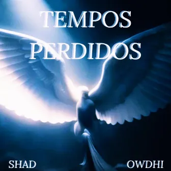 Tempos Perdidos by Shad the River