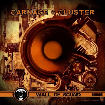 Wall Of Sound by Cluster