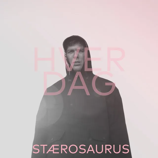 Hver dag