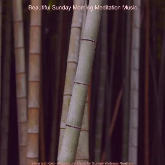 Harp and Koto - Background Music for Sunday Wellness Routines by Beautiful Sunday Morning Meditation Music