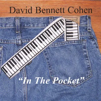 In The Pocket by David Bennett Cohen