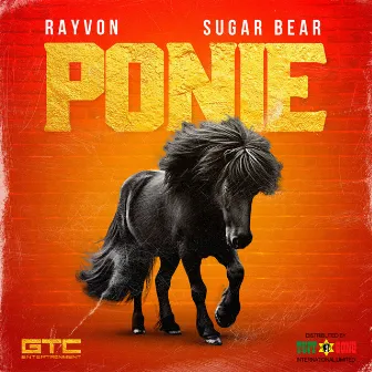 Ponie by Rayvon