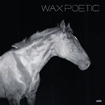 On a Ride by Wax Poetic