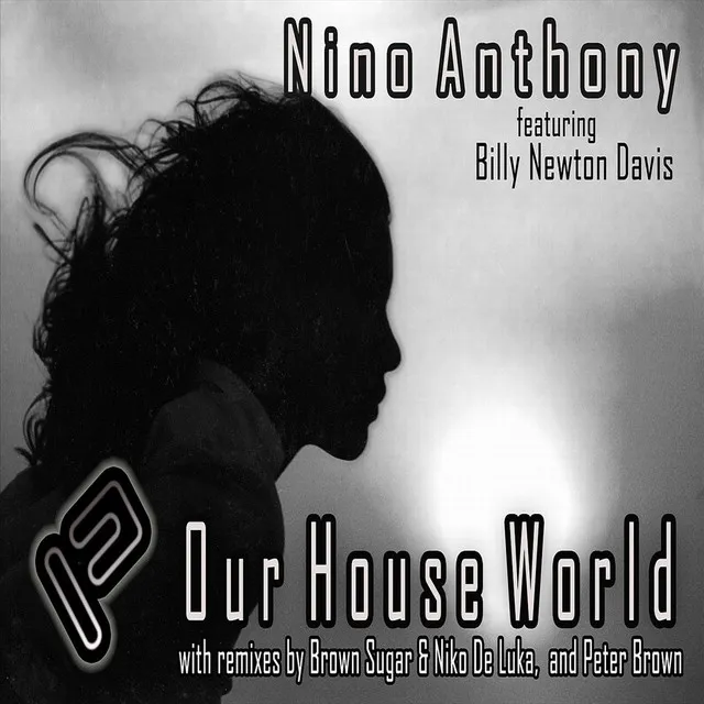 Our House World - Brown Sugar & Niko De Luka Vox Mix