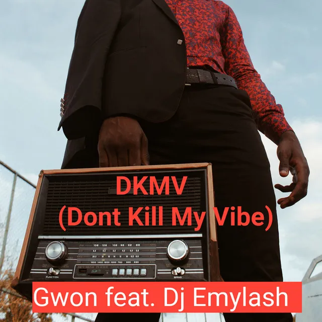 DKMV(Dont kill my vibe)