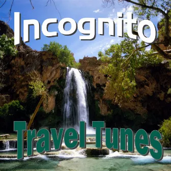 Travel Tunes by Incognito