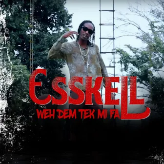 Weh Dem Tek Mi Fa by Esskell