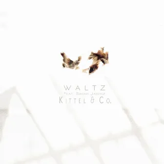 Waltz by Jeremy Kittel