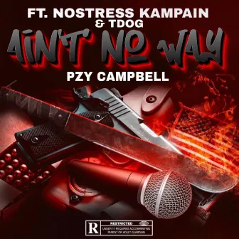 Ain't No Way (Radio Edit) by Pzy Campbell