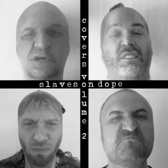 Covers Volume 2 by Slaves on Dope