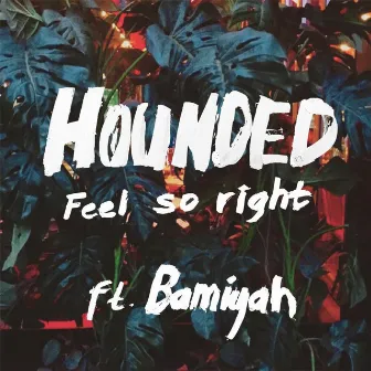 Feel So Right by Hounded