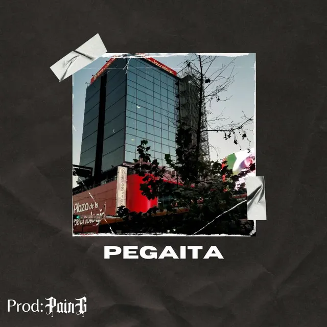 Pegaita