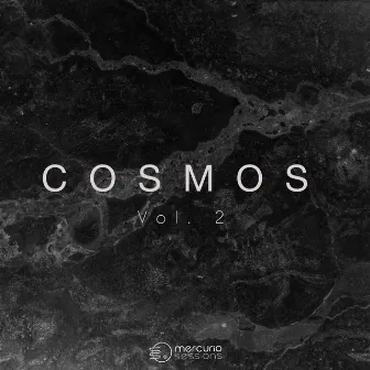 COSMOS, Vol. 2 by Marcos Morales Mercurio