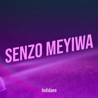 Senzo Meyiwa by Indidane