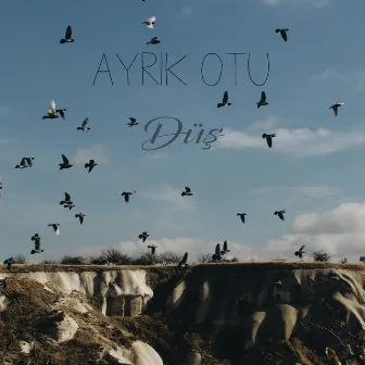 Düş (Live) by Ayrık Otu