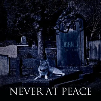 Never at Peace by John J