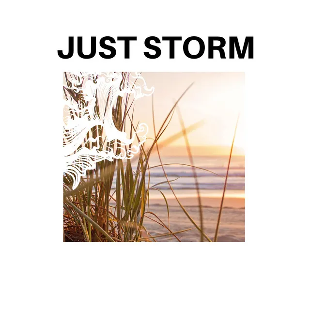 Just Storm