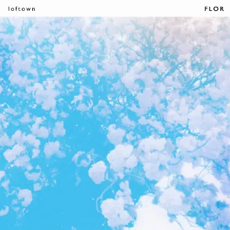 FLOR by loftown