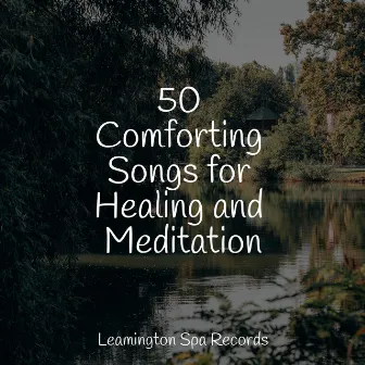 50 Comforting Songs for Healing and Meditation by Meditation Music Experience