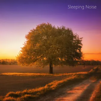 Sleep Noise Relax. Hairdryer and Fan White Noise Sleep. by Healing White Noise