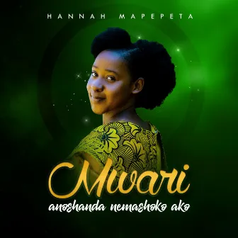 Mwari Anoshanda Nemashoko Ako by Hannah Mapepeta