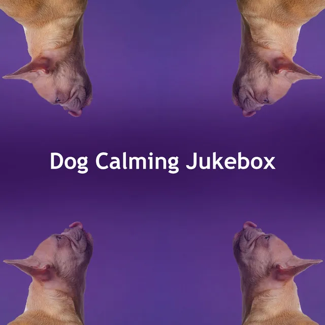 Dog Calming Jukebox