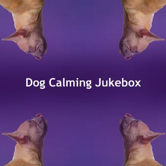 Dog Calming Jukebox by Dog Music Jukebox