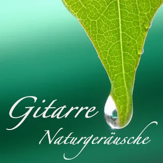 Gitarre Naturgeräusche by Unknown Artist