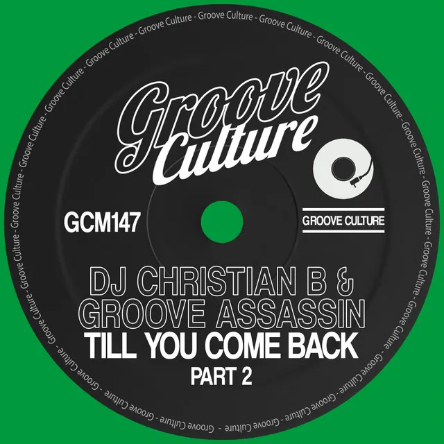 Till You Come Back - Radio Edit