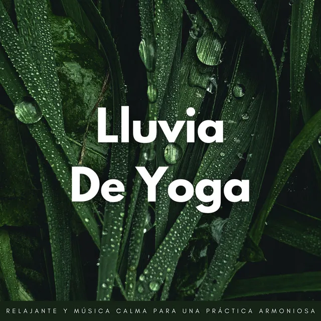 Lluvia De Yoga: Lluvia Relajante Y Música Calma Para Una Práctica Armoniosa