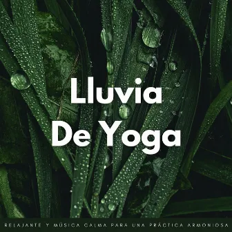 Lluvia De Yoga: Lluvia Relajante Y Música Calma Para Una Práctica Armoniosa by Yoga Meditación y Música de Relajación