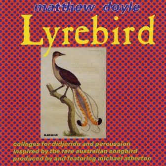 Doyle, Matthew: Music for Didjeridu and Percussion by Michael Atherton