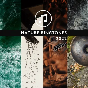 Nature Ringtones 2022: Hang Drum & Ocean Waves & Rain Sounds & Thunderstorm & Forest & Stream & Birds by Forest Winston