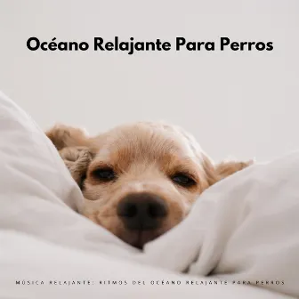 Música Relajante: Ritmos Del Océano Relajante Para Perros by Lista de reproducción de música para perros