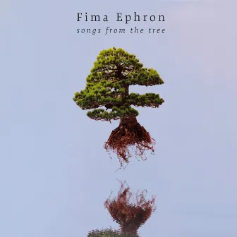 Songs From The Tree by Fima Ephron