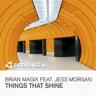 Things That Shine by Brian Magix