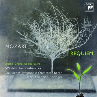 Mozart: Requiem by Windsbacher Knabenchor