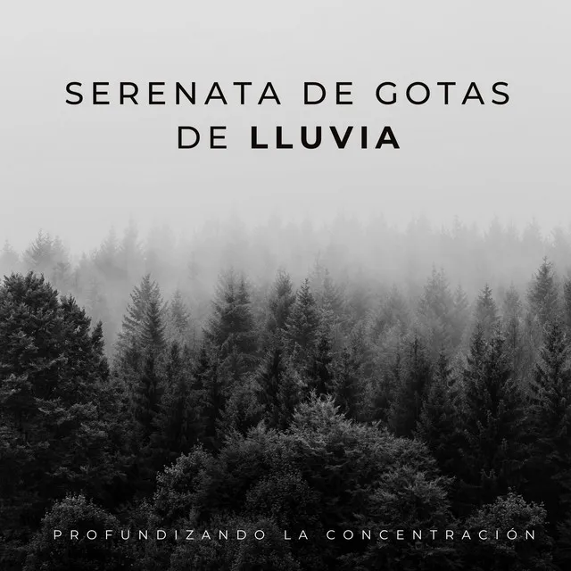 Crescendo De Concentración Lluviosa