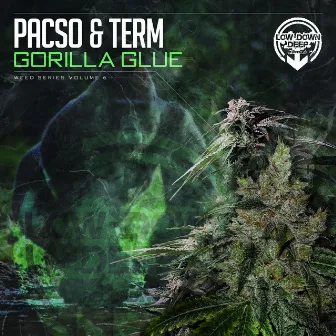 Gorilla Glue by Pacso