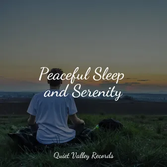 Peaceful Sleep and Serenity by Spa