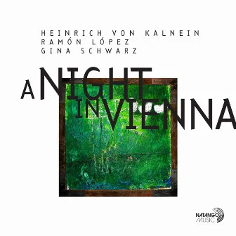 A Night In Vienna by Gina Schwarz