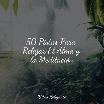 50 Pistas Para Relajar El Alma y la Meditación by Relajación Meditar Academie