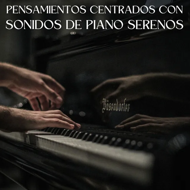 Pensamientos Centrados Con Sonidos De Piano Serenos