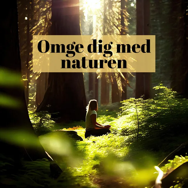 Omge dig med naturen: Grön oas för stilla meditation