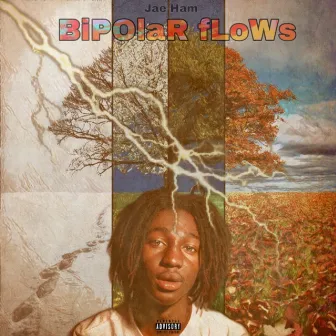 Bipolar Flows by Jae Ham