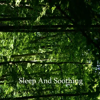 Sleep And Soothing by Unknown Artist